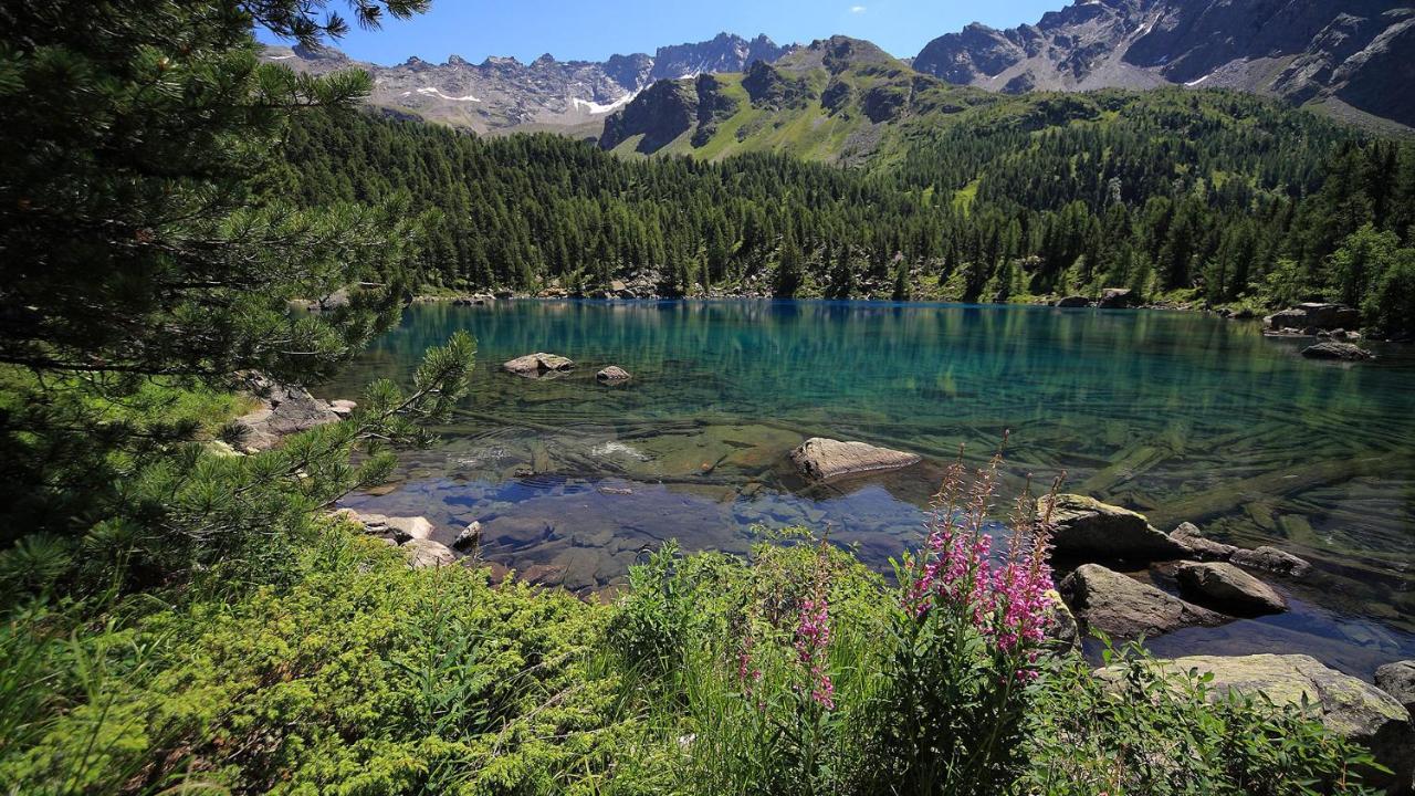 Ca' Del Borgo, Rooms & Suites Poschiavo Bagian luar foto